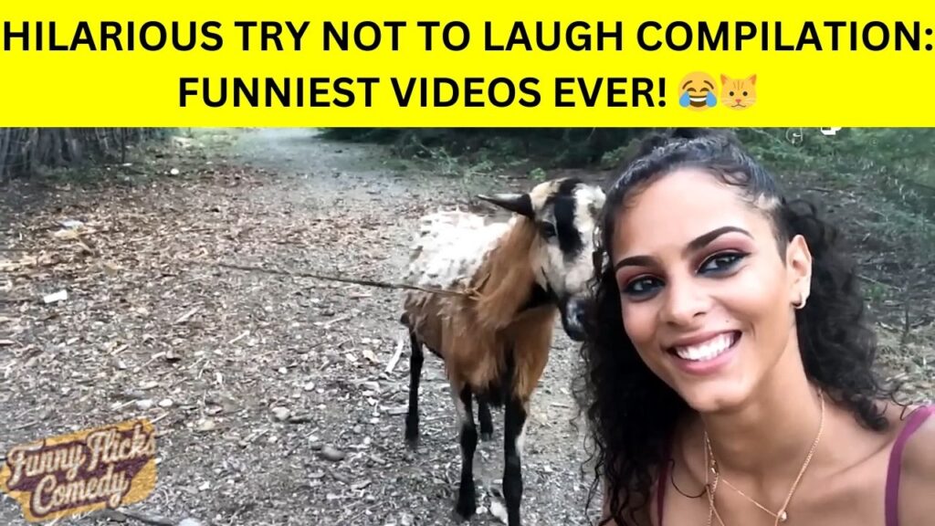 Hilarious Funny Video
